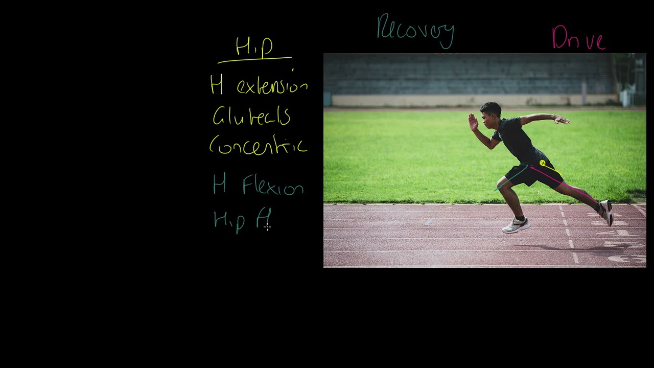 AQA GCSE PE: Movement Analysis
