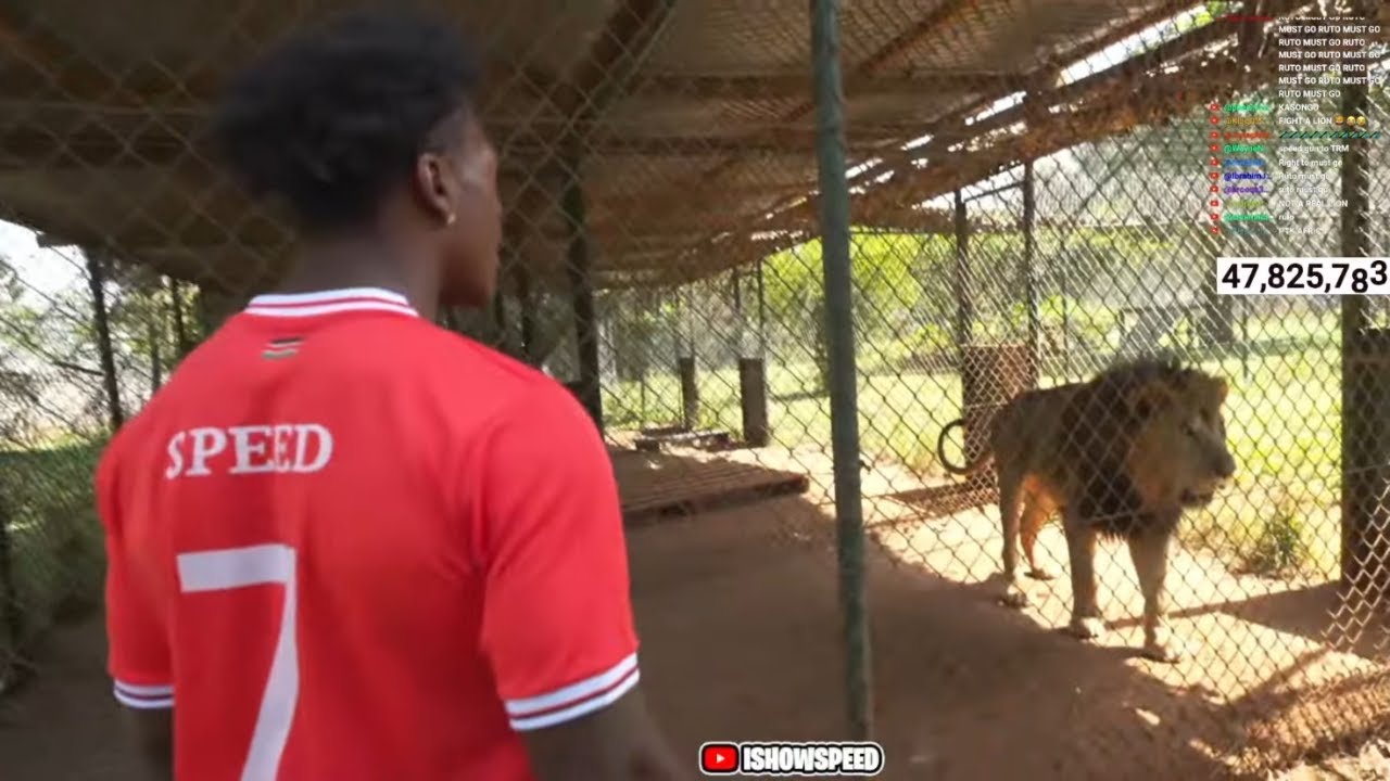 iShowSpeed Gets ATTACKED By A Lion In Kenya 💀