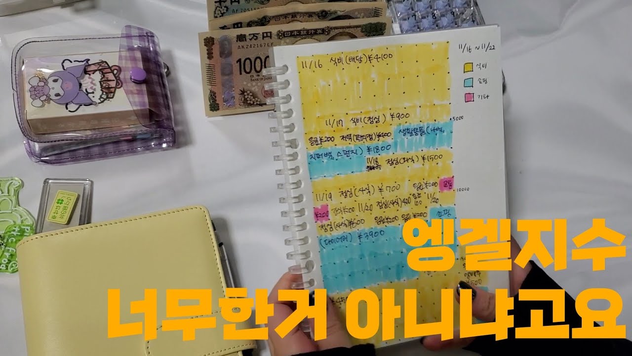 【현금생활 EP.8】그래서 일주일에 얼마썼나면요|1인가구생활비|일본생활