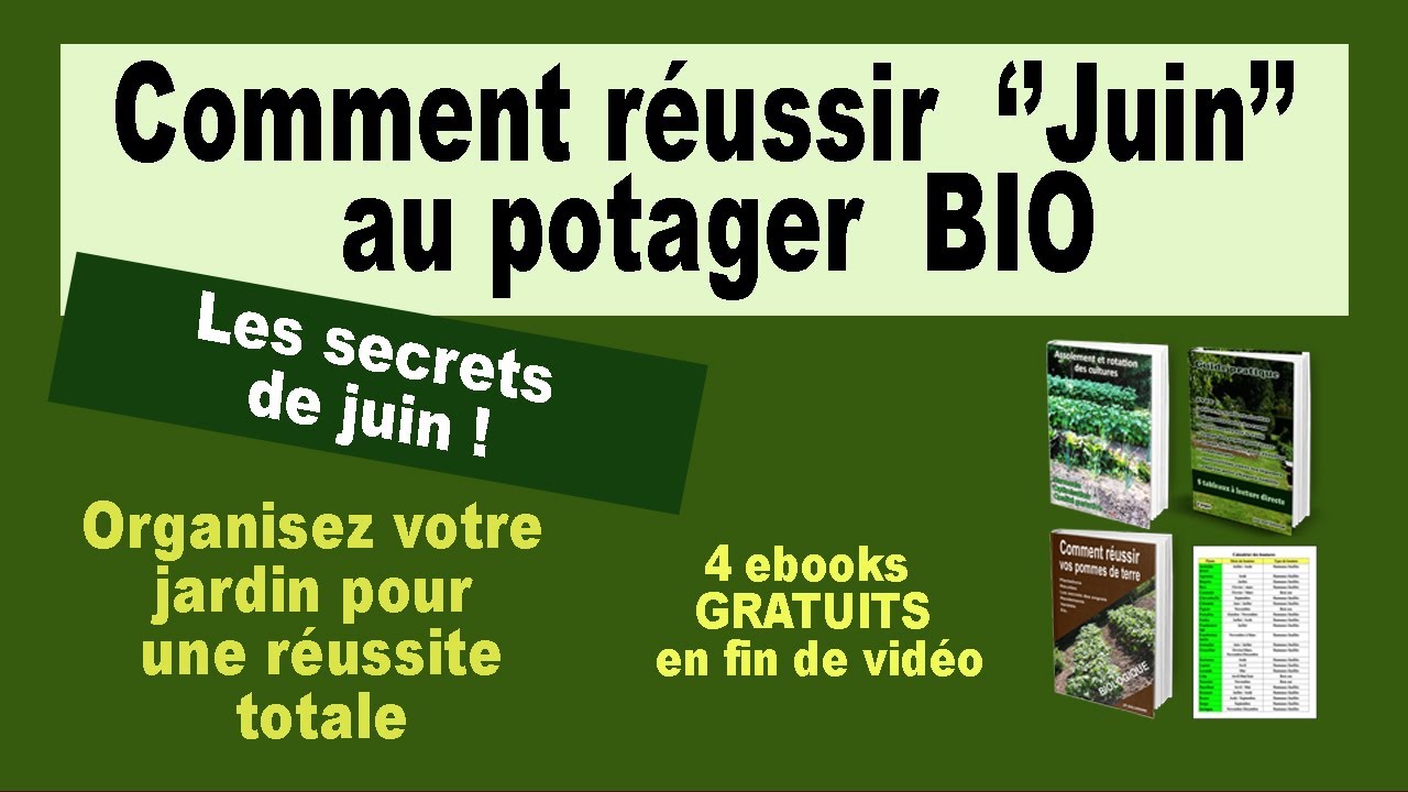 Réussir juin au potager, conseils: tomates, potimarron, fraisiers, etc