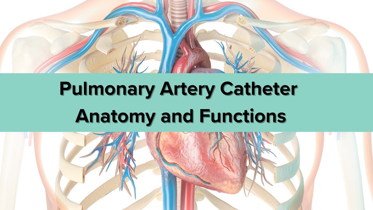 Pulmonary Artery Catheters for Critical Care Nurses