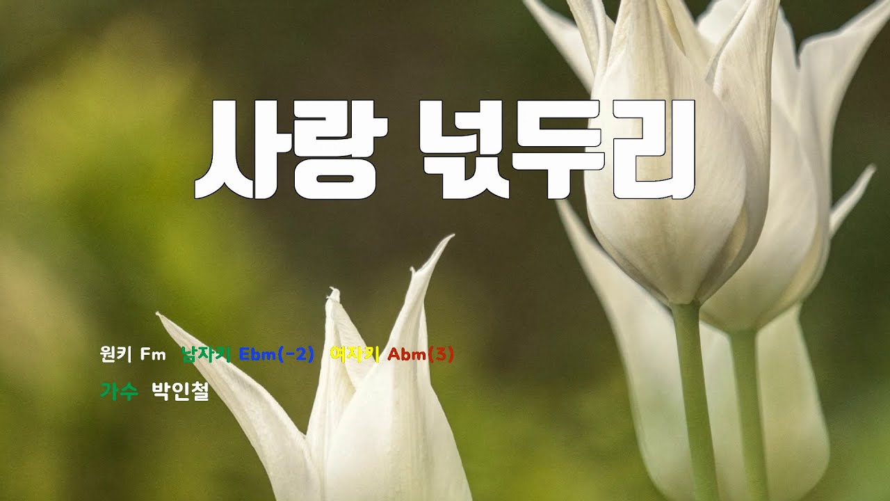 [은성 반주기] 사랑넋두리 - 박인철