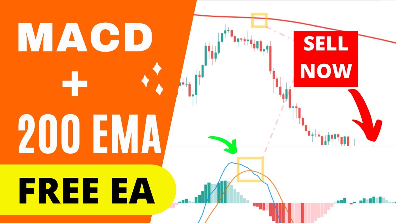 I Tested MACD + 200 EMA Trading Strategy with a Free Expert Advisor - MACD Indicator Explained