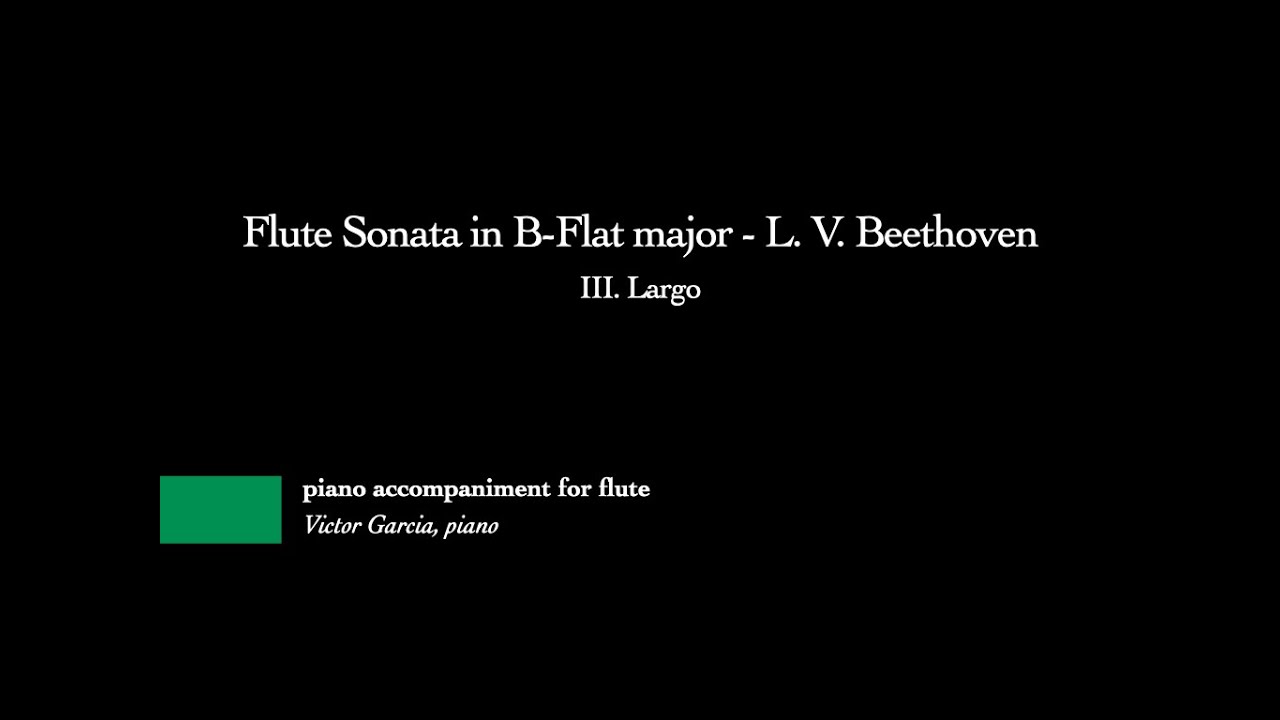Flute Sonata in B-Flat major - III. Largo - L. V. Beethoven [PIANO ACCOMPANIMENT FOR FLUTE]