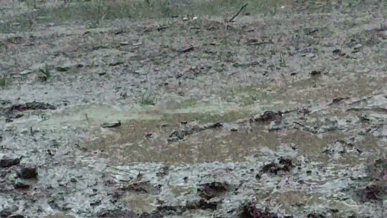 avec les aigle mais aussi mal fait
