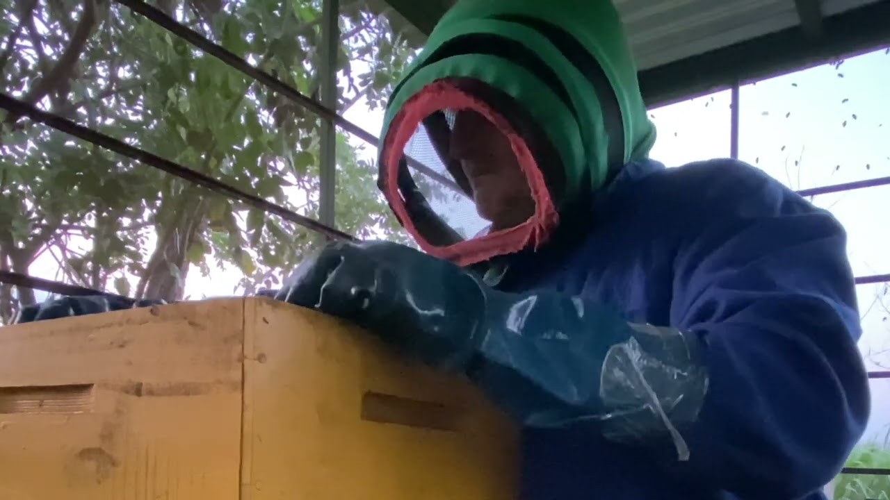Instalación de alzas mieleras