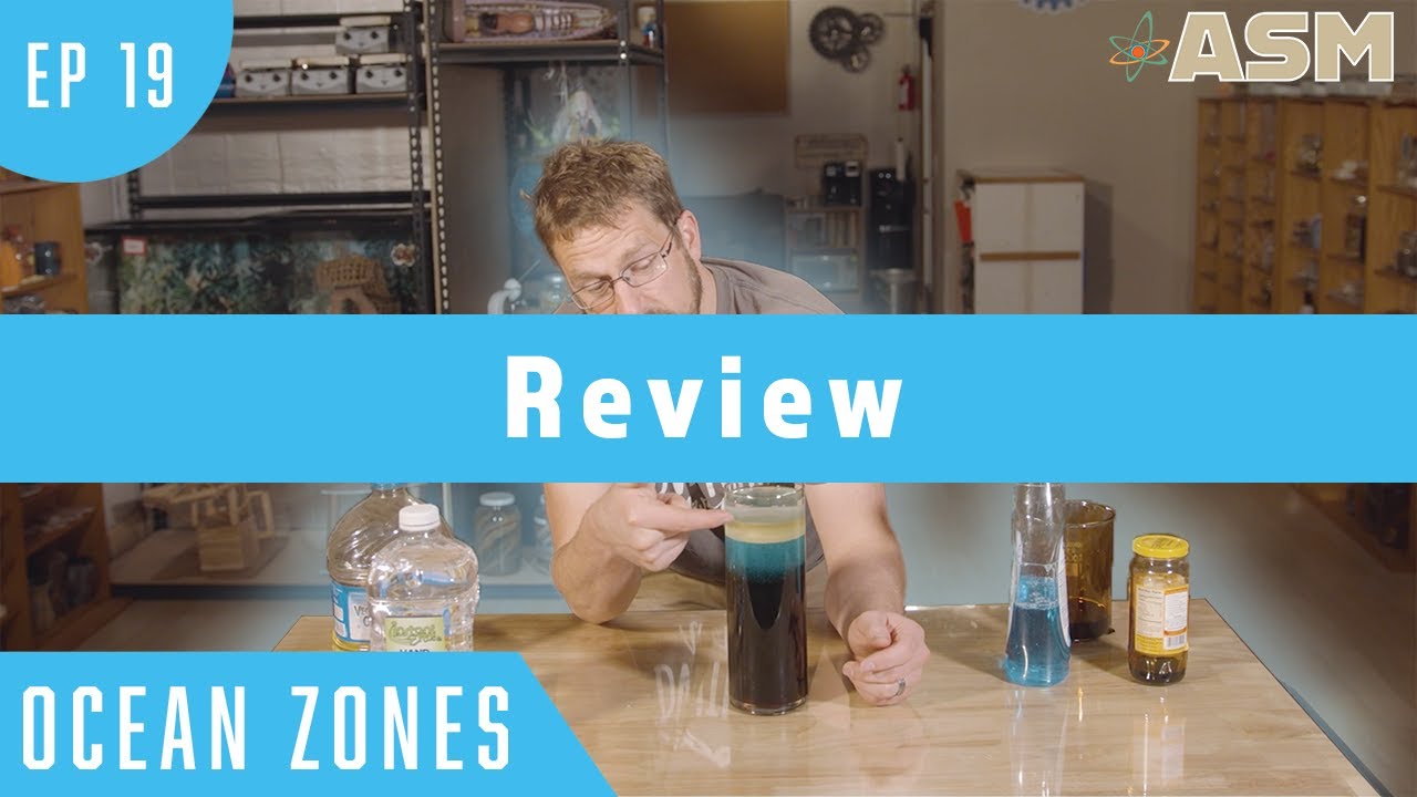 Ocean Zones (119) Review