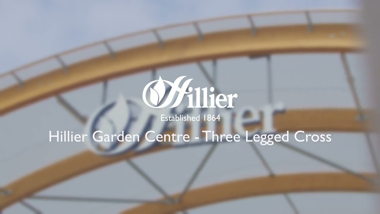 Hillier Three Legged Cross Walk Through