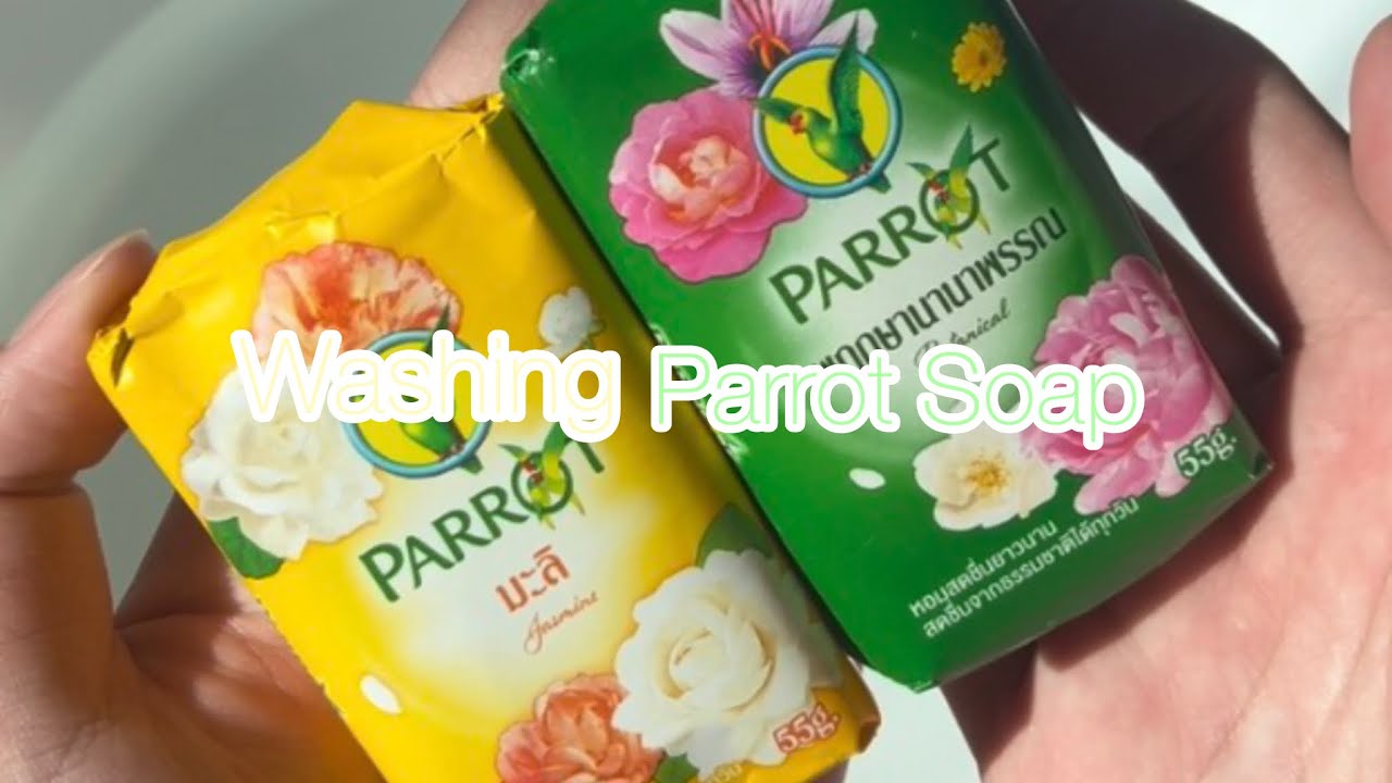 Washing Parrot Soap🦜💛💚#soapasmr #soaplove #washingsoap #mon_eymy_asmr 
