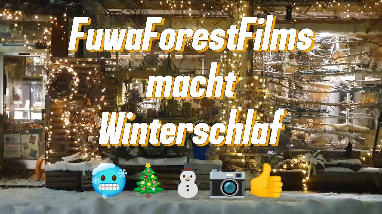 Wintereinbruch im Schwarzwald 🥶🎄⛄️ FuwaForestFilms macht Winterschlaf 📷👍 Cozy Winter Schnee Vlog