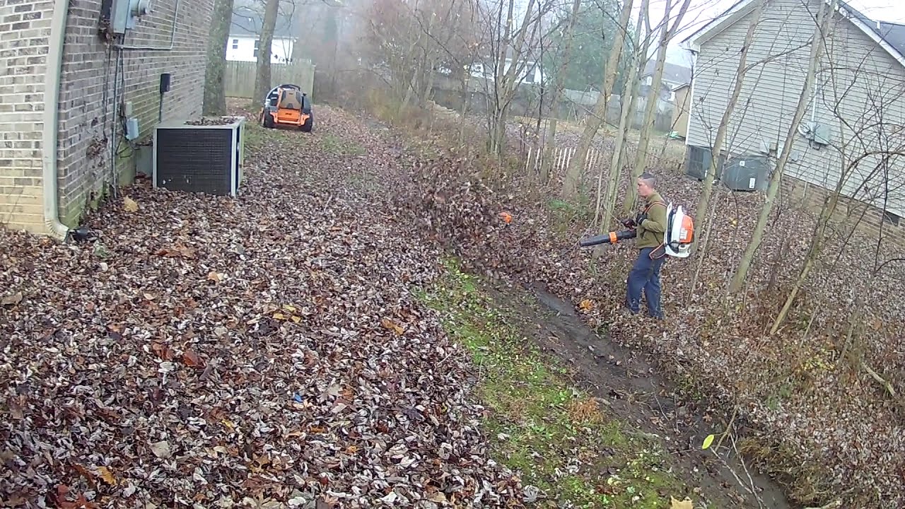 One Hour Leaf Cleanup With Windstorm