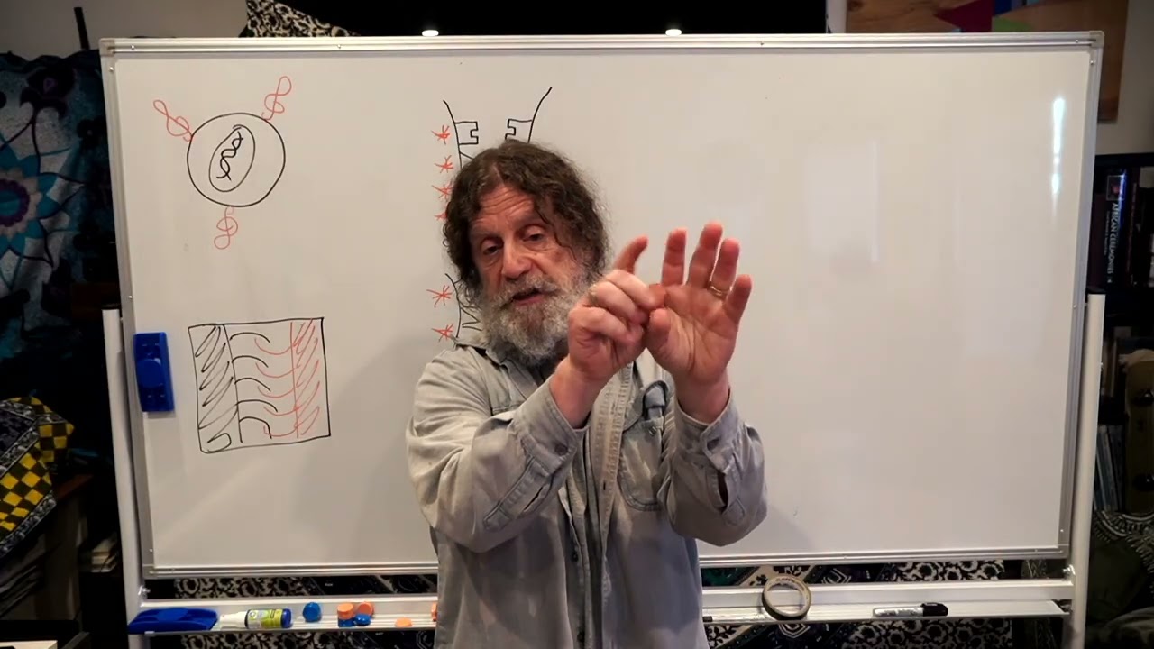 4. Human Behavioral Biology: Evolution of Behavior 3 by Robert Sapolsky