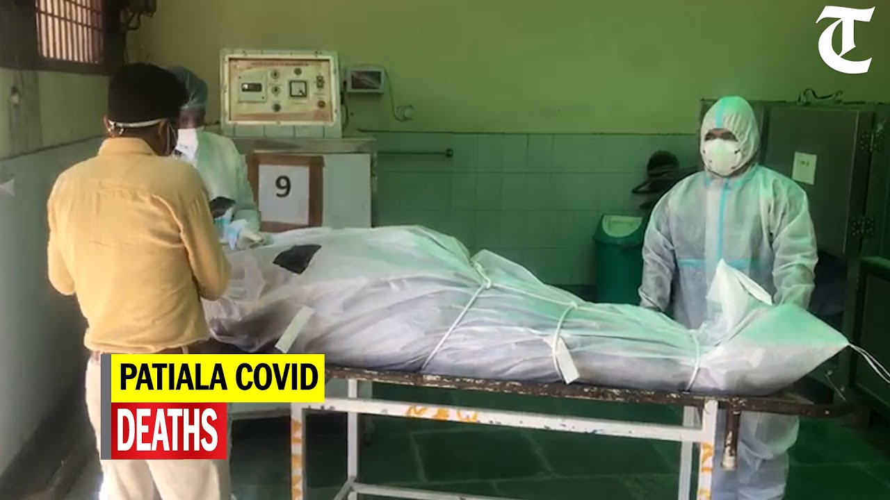 Patiala's Rajindra Hospital reports 31 deaths in 24 hours, mortuary running out of space