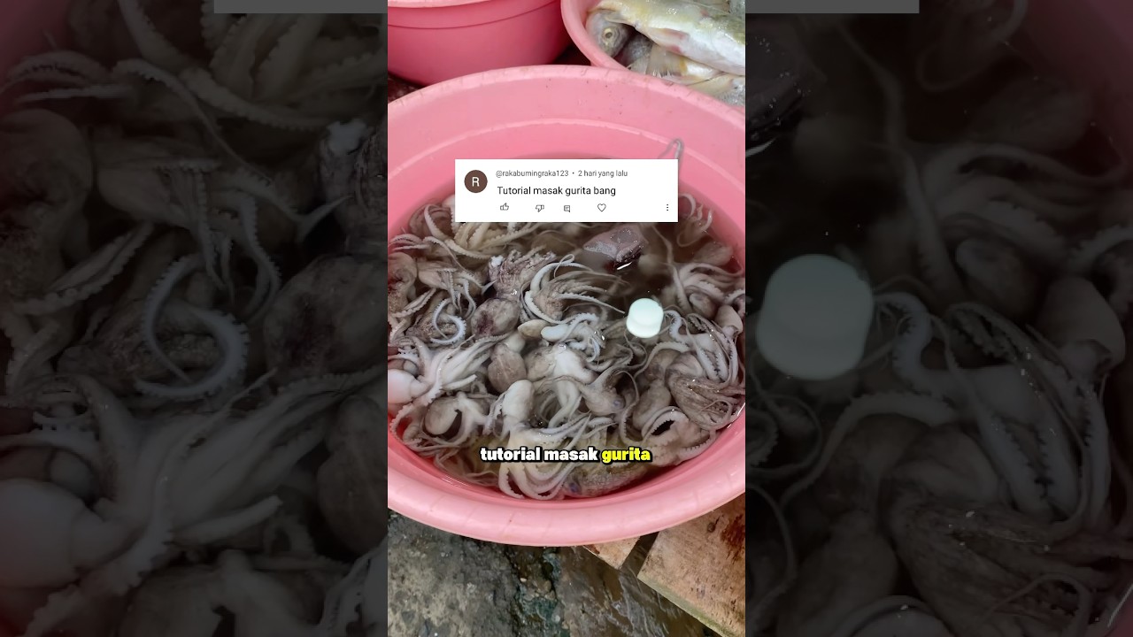Tutorial masak gurita #tutorial #gurita #masakgurita #shorts #komedi