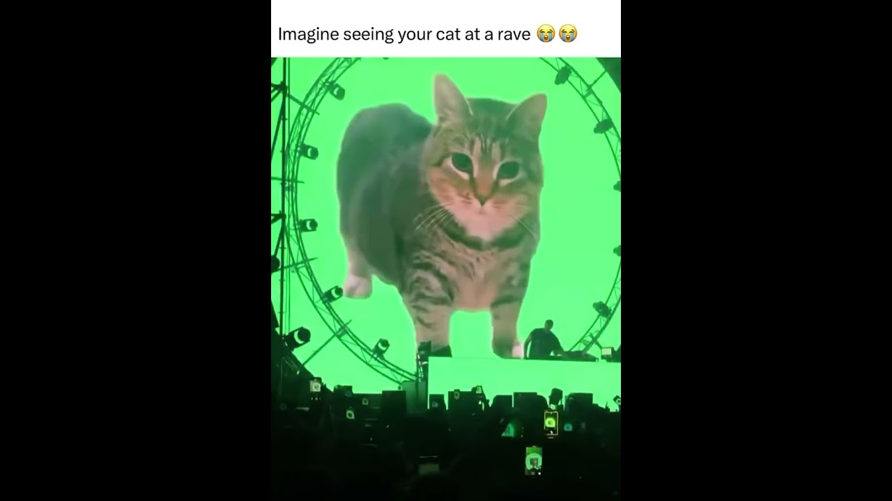 POV:Concerts in 2050 😂😂 #funny #memes #cat #rave