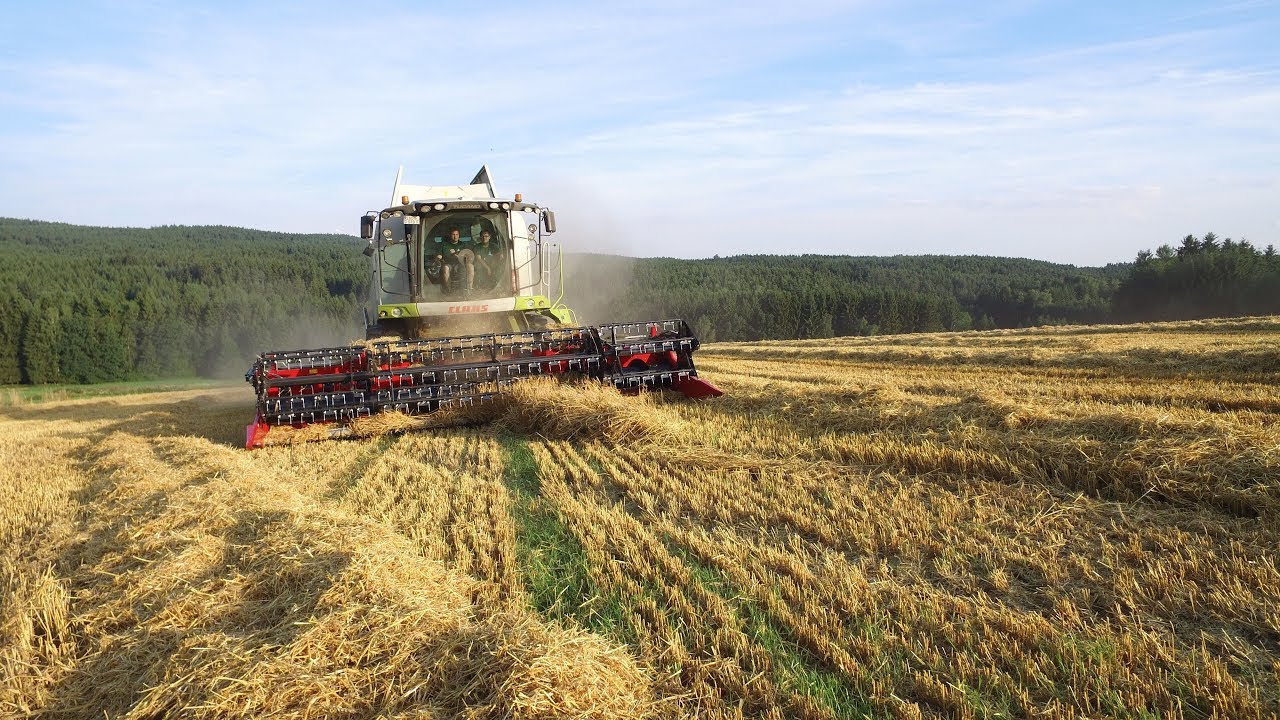 Claas Tucano 570 | Geringhoff HV 660 Vario Star | Gerste dreschen