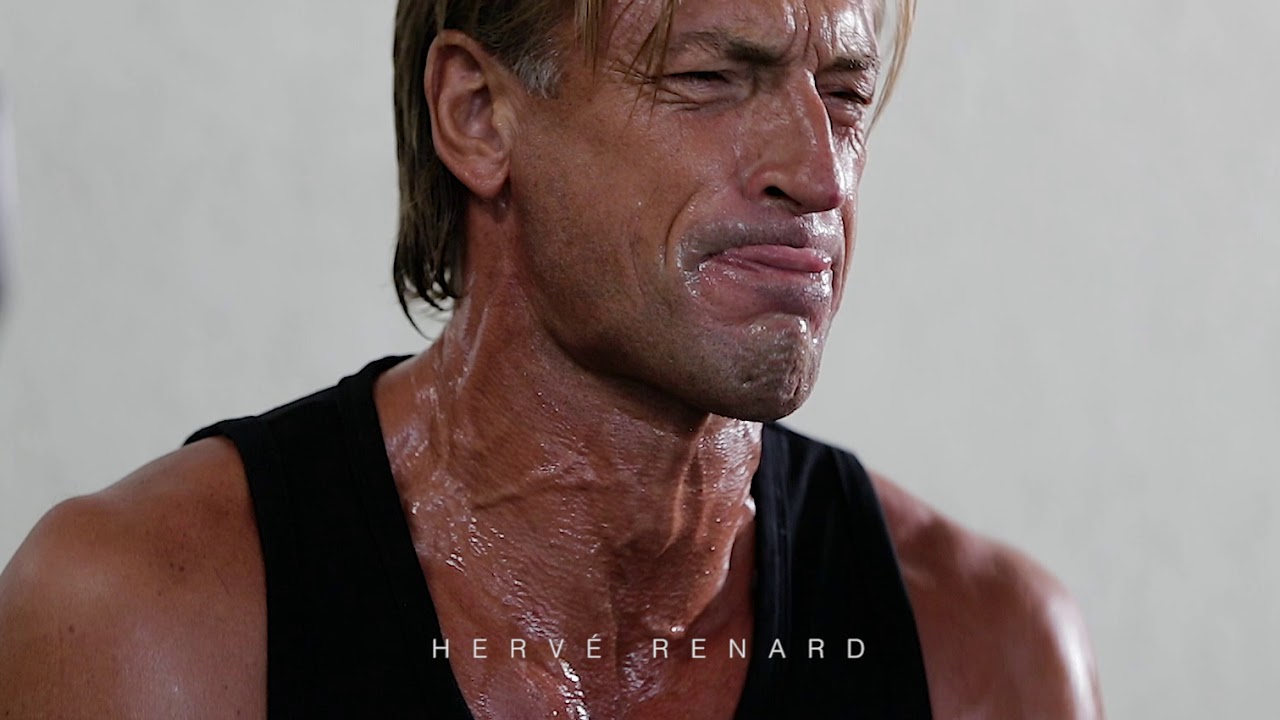 Wild Cat - Herve Renard