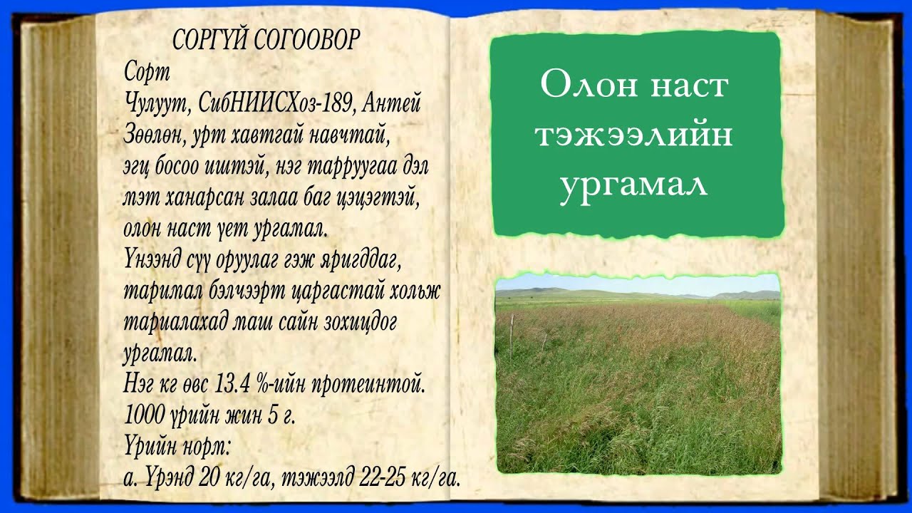 Олон наст тэжээлийн ургамал тарих агротехнологи-LAMP 2015
