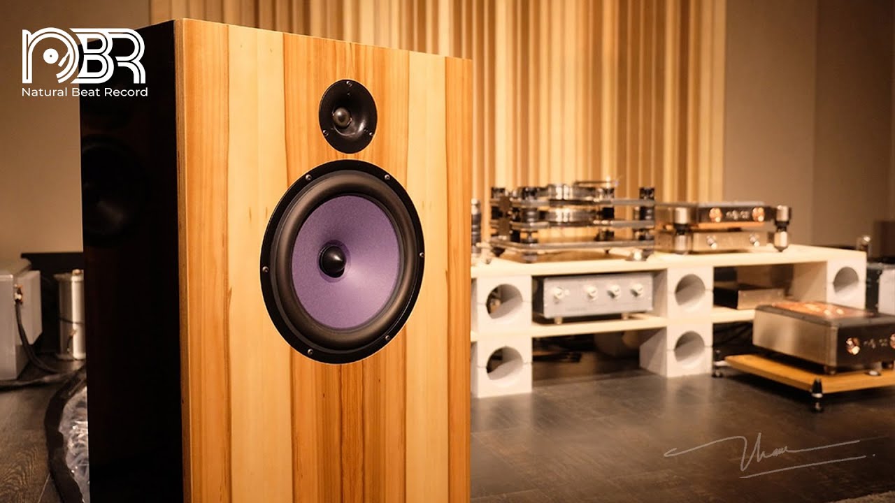 Hi-Res Music 32 bit - Best Voices & Dynamic - Audiophile NBR Music