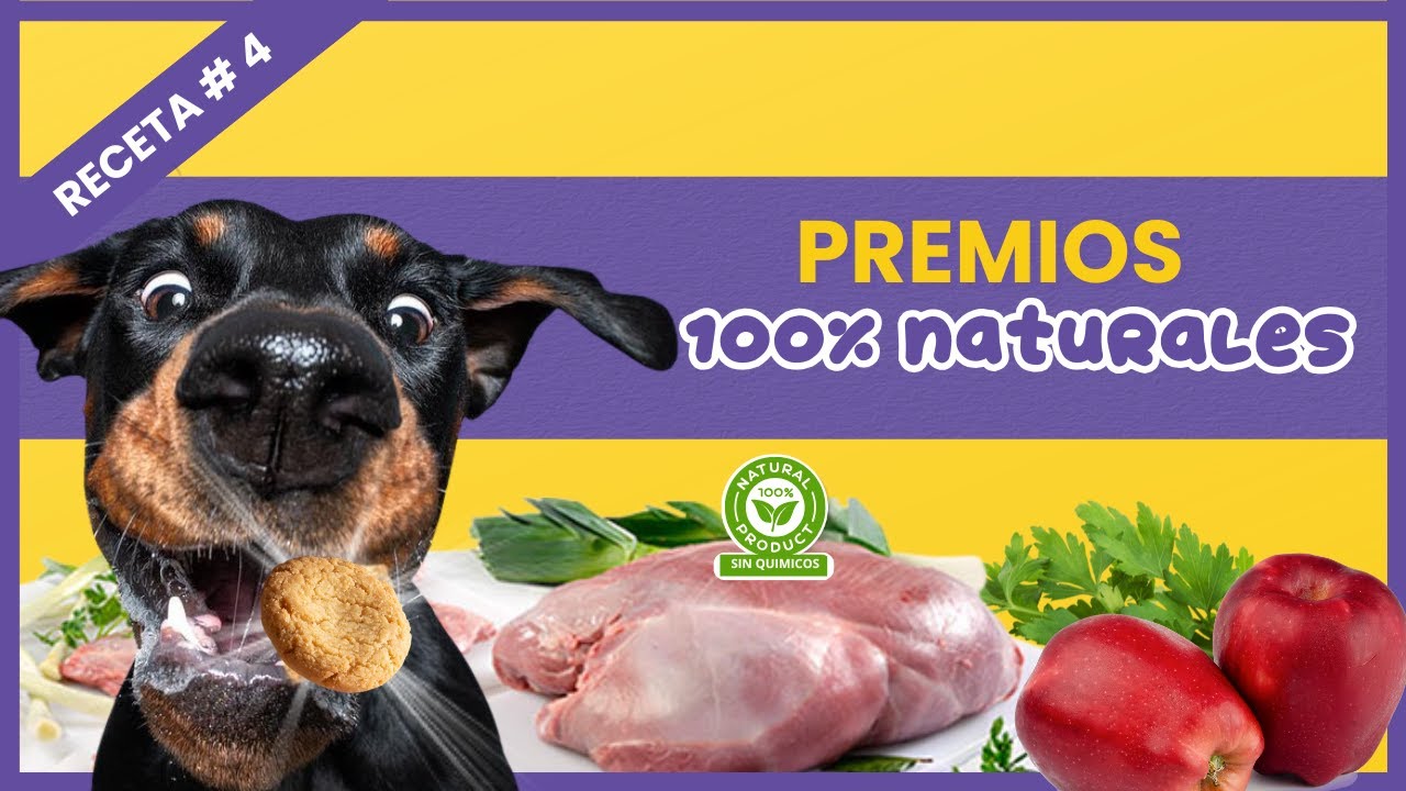 🍪Cómo hacer PREMIOS para PERROS con Carne de Ternera 🍖 | Naturales, saludables y fáciles 🐾