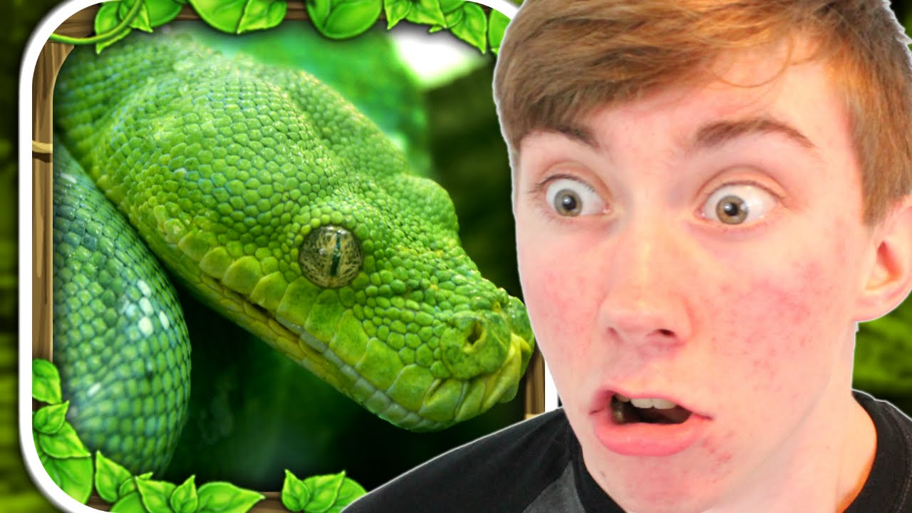 SNAKE SIMULATOR (iPad Gameplay Video)