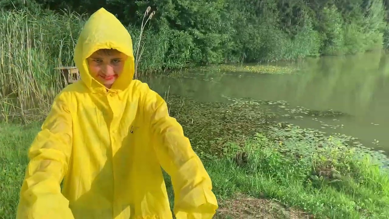 IT