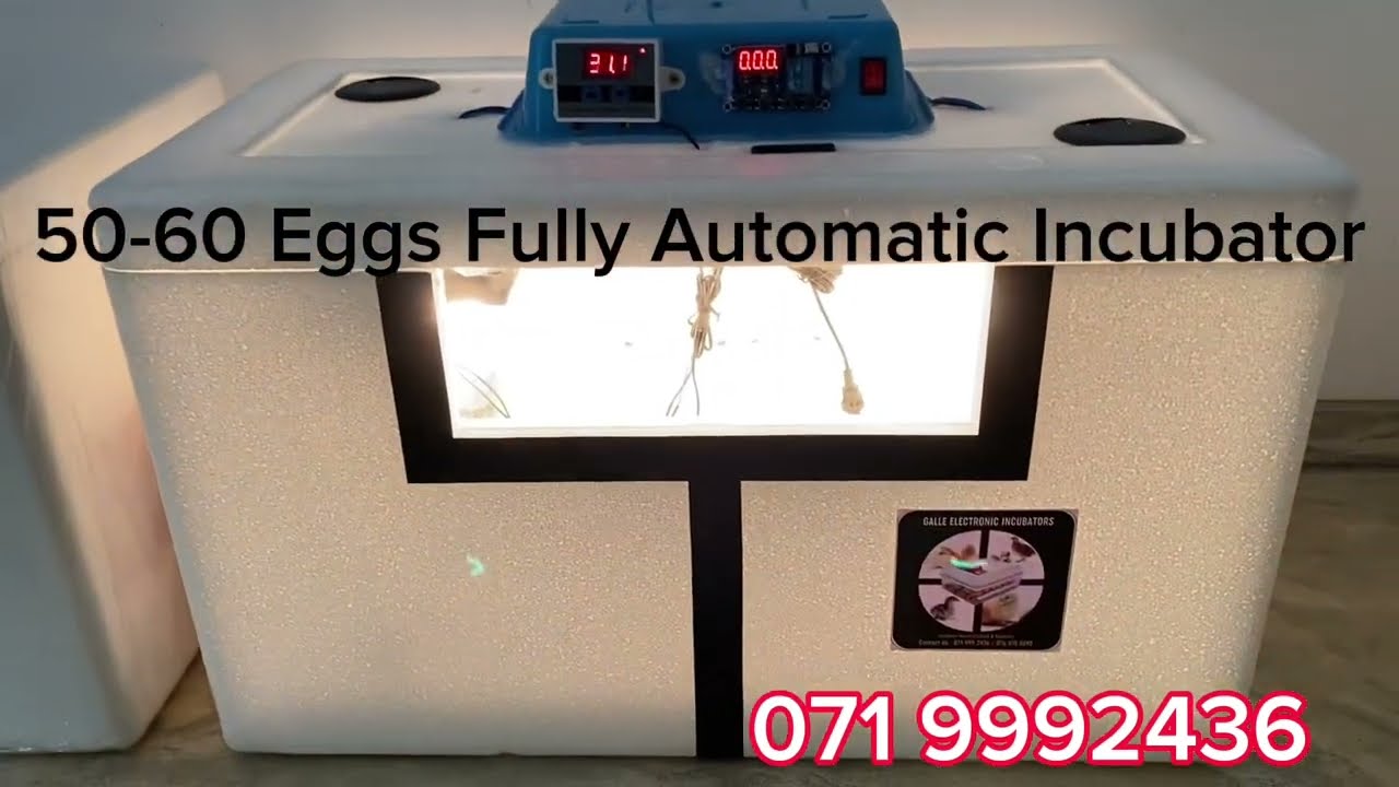 60 eggs Automatic Incubator 🐥🦆🐣””The best Incubators in Sri Lanka””’