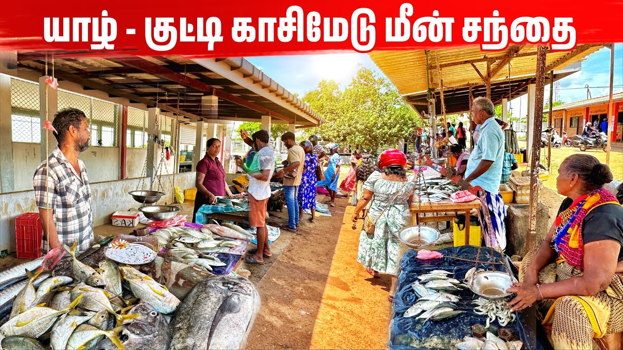 இப்படி மீன் விற்றால் பார்க்க ரொம்ப அழகா இருக்கும் | Beautiful Fish Market