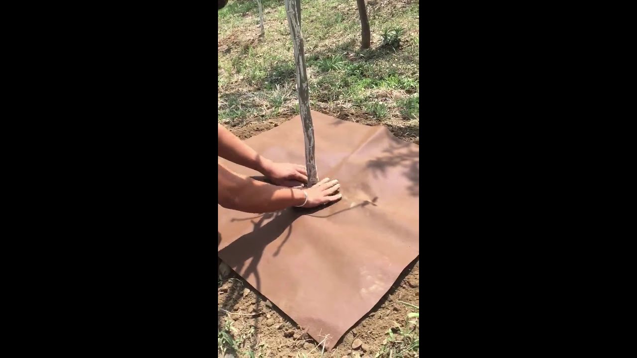 Mulching Mat