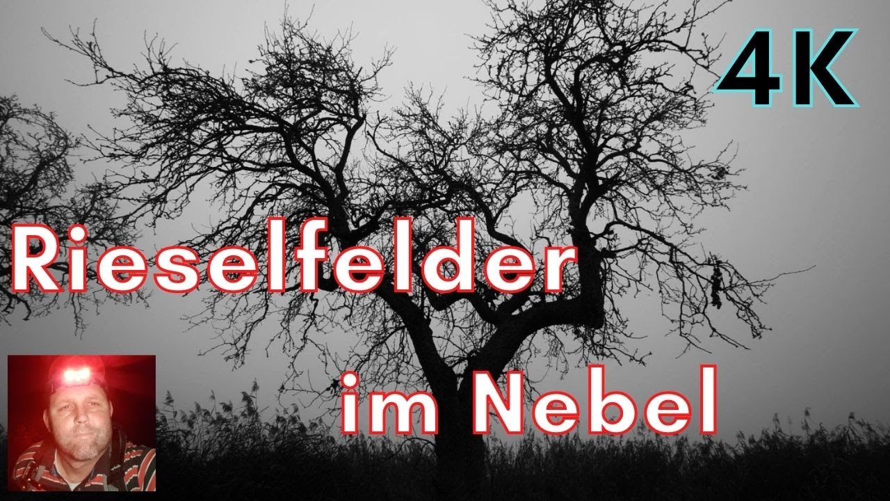 Die Rieselfelder in M&uuml;nster