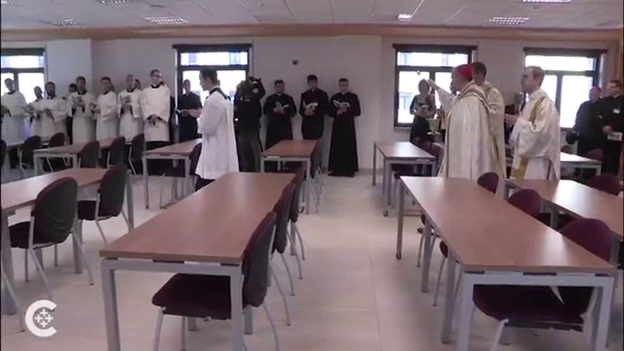 Cardinal Parolin on U.S. vocations