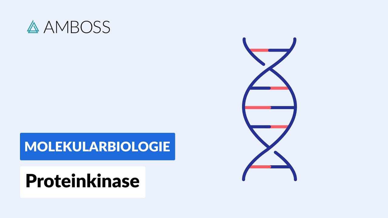 Protein kinases - Biochemistry - AMBOSS Video