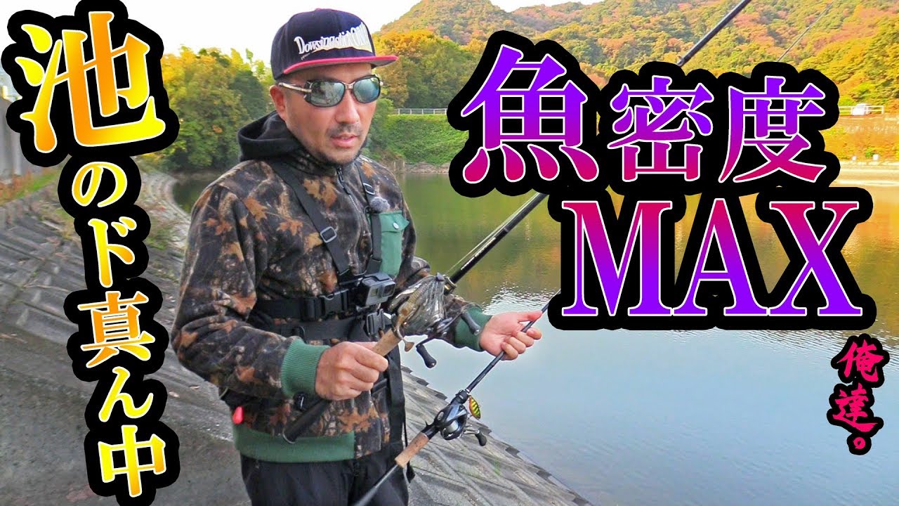 池のド真ん中でめっちゃ釣れるパターンを発見…！？
