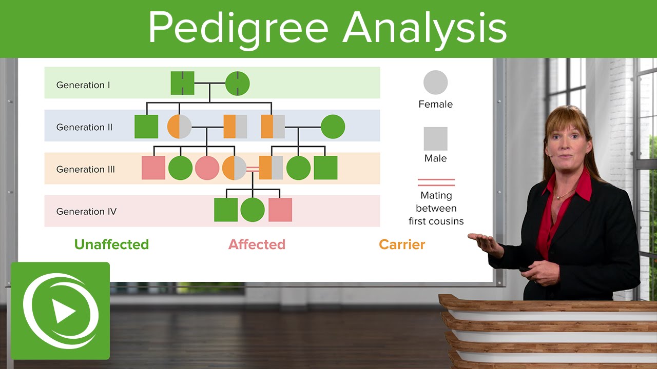 Pedigree Analysis: Dominant & Recessive Patterns &ndash; Genetics | Lecturio