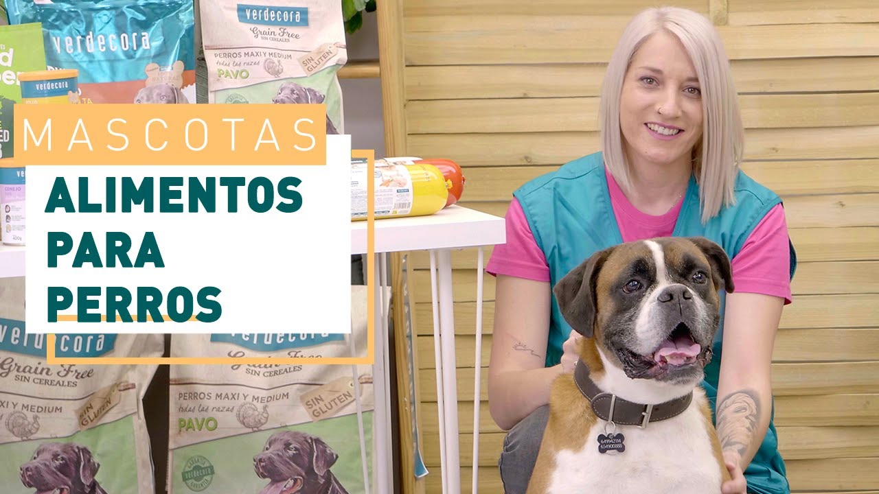 Alimentación para perros natural y mixta | Mascotas en VERDECORA