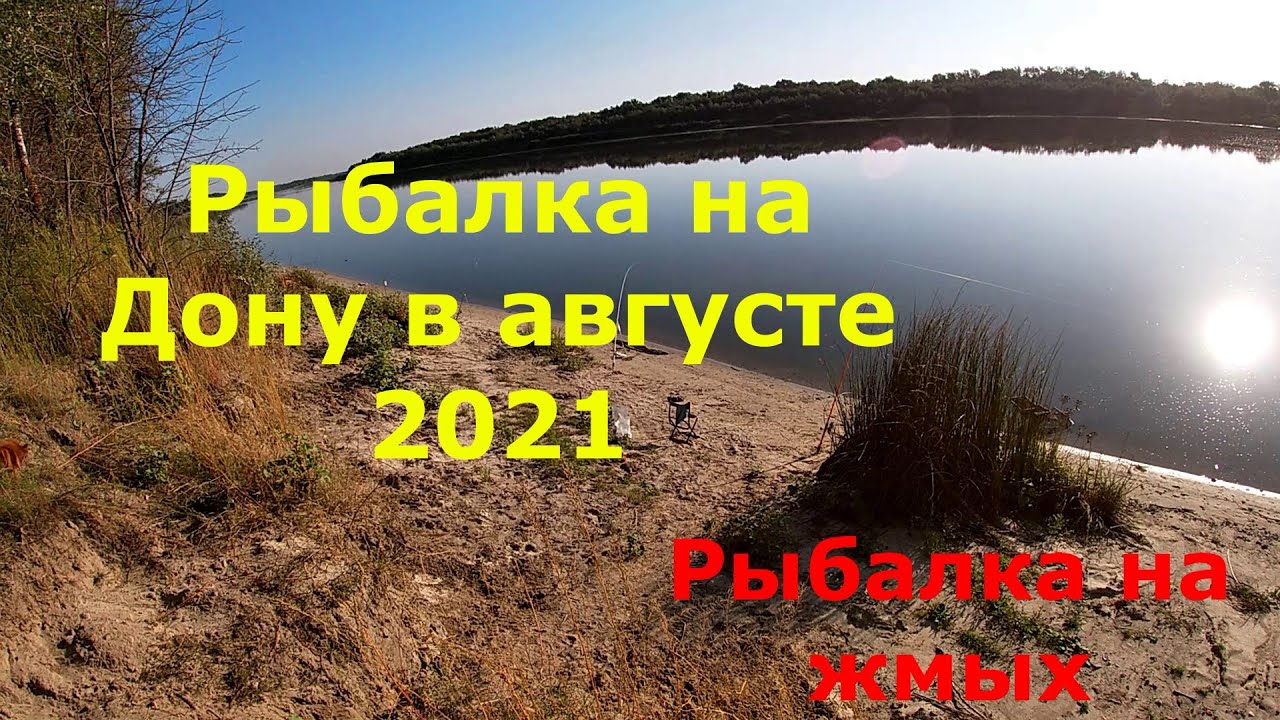 Рыбалка на дону в августе 2021. Рыбалка на жмых!