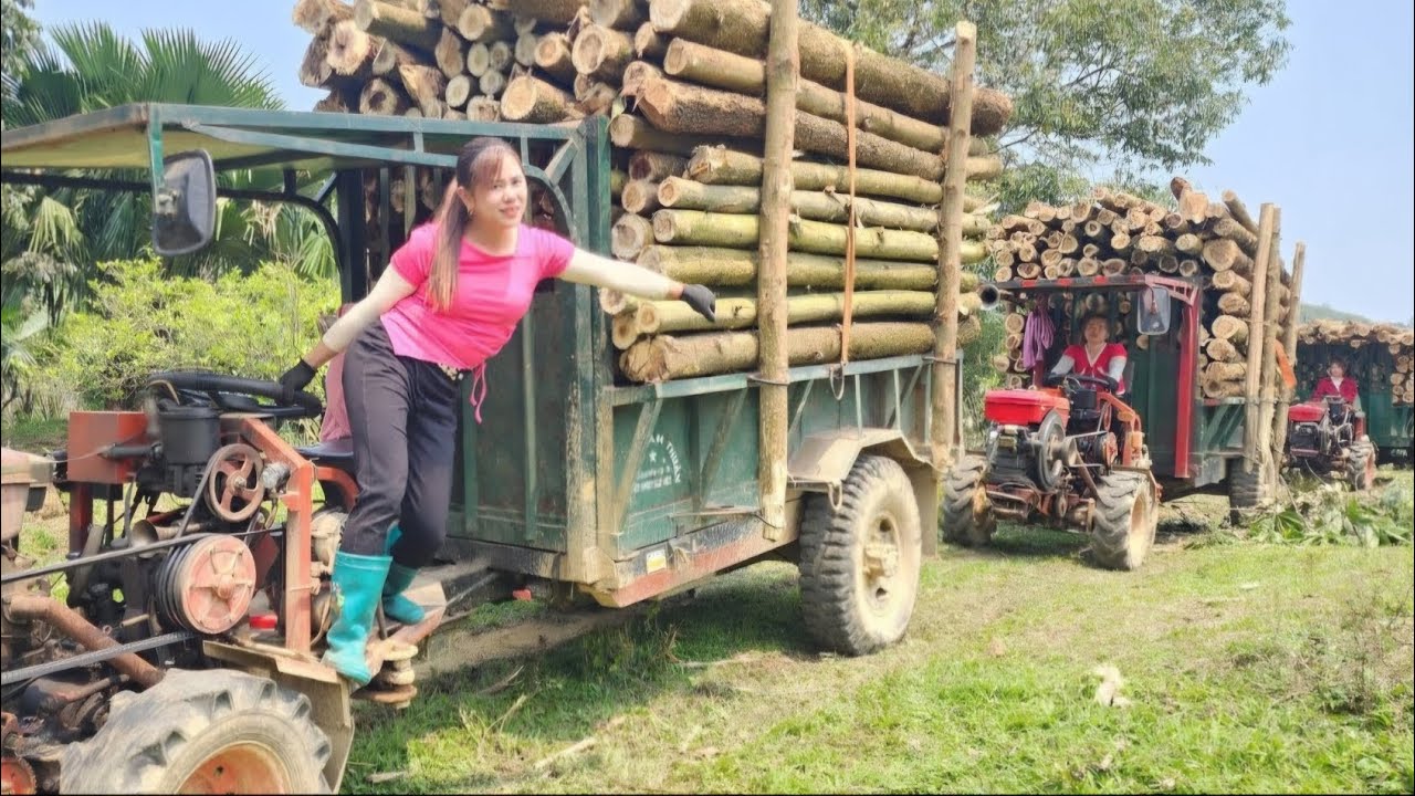 Agricultural vehicles here is a full video of forestry timber transport