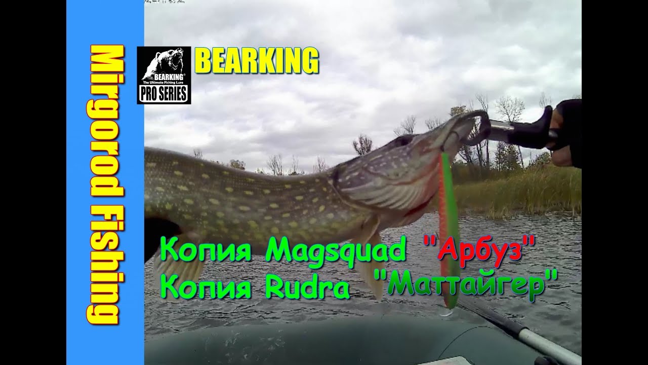 Рыбалка. Bearking MagSquad 128SP Fruit Mat Tiger спасает рыбалку!