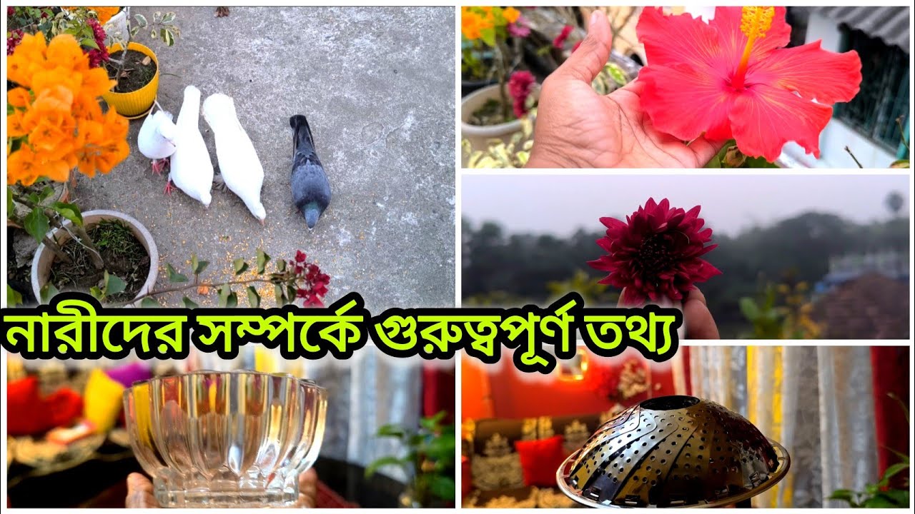 ঘুম থেকে উঠে সংসার কাজ গুল যেভাবে আমি পরিপাটি করি|  নারীদের সম্পর্কে গুরুত্বপুর্ন তর্থ কি জানেন#vlog