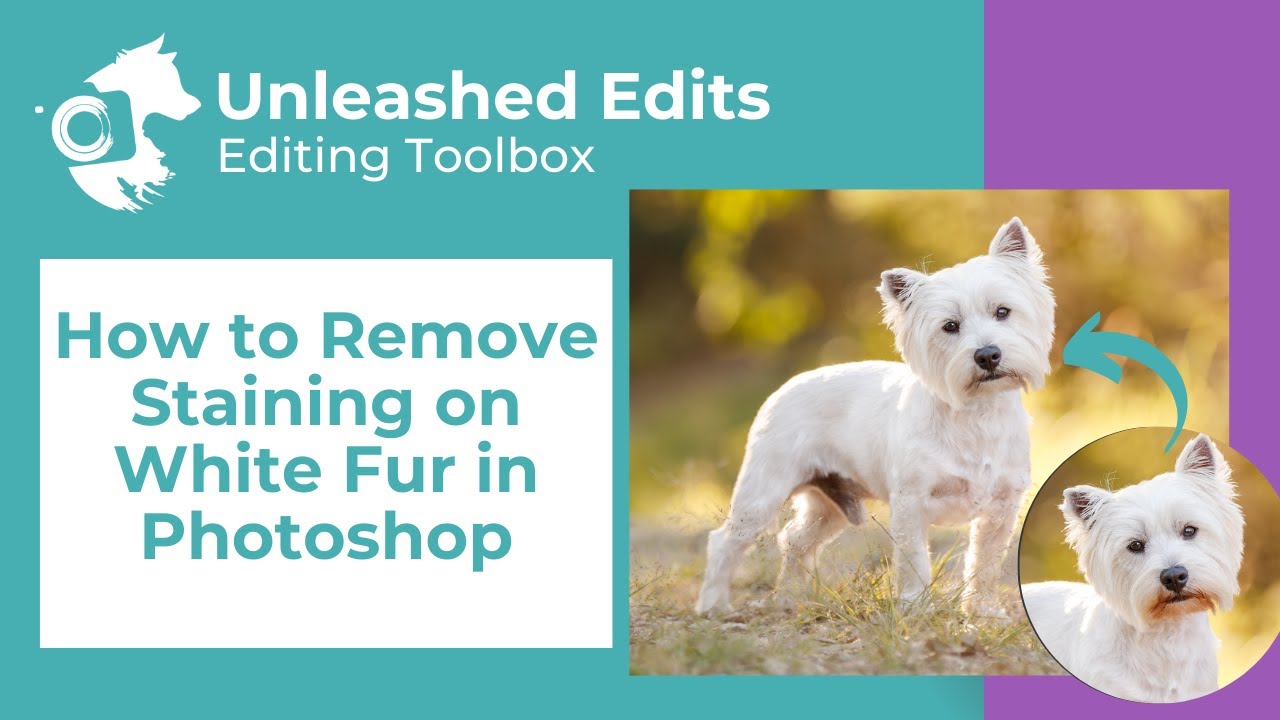 How to Remove Staining on White Fur in Photoshop