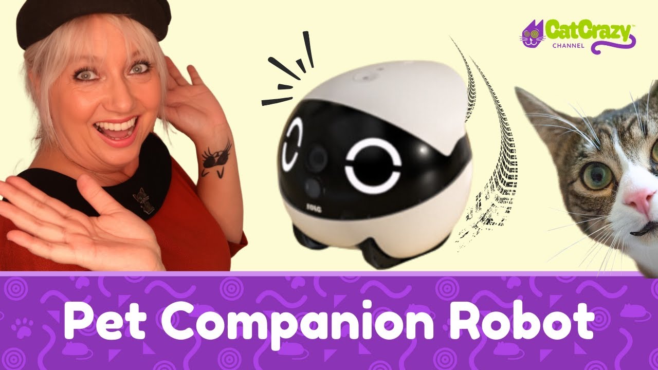 ROLA Mini — лучший трекер для домашних животных? Вот вам обзор