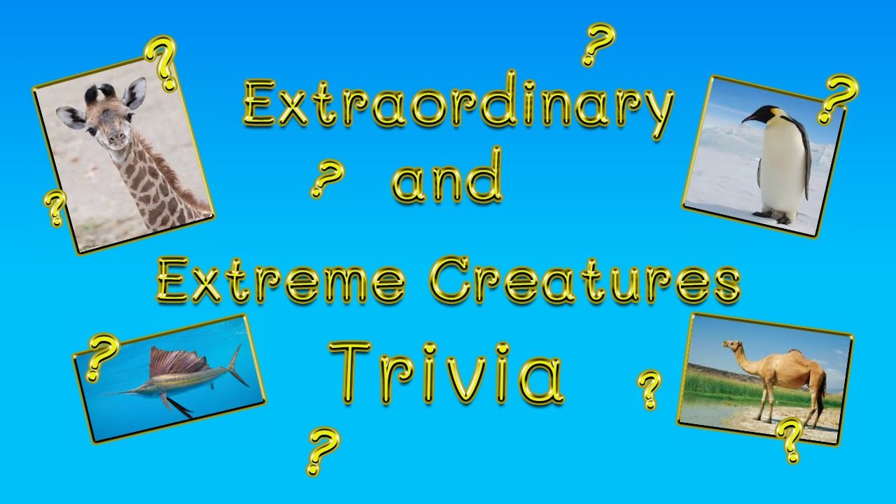 The World's Extraordinary And Extreme Creatures Trivia