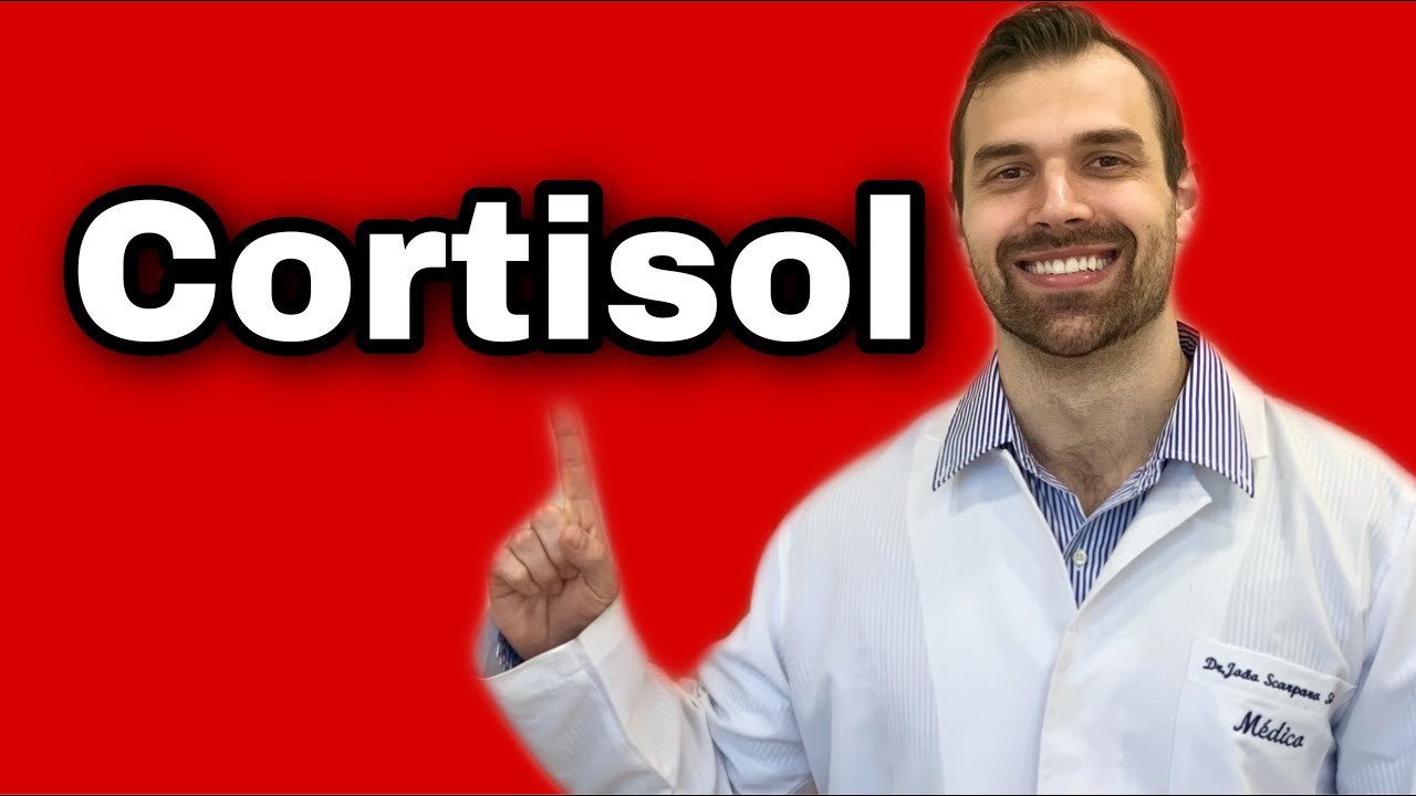 Cortisol alto tem sintomas? e Cortisol baixo? Qual a fun&ccedil;&atilde;o do horm&ocirc;nio do estresse?