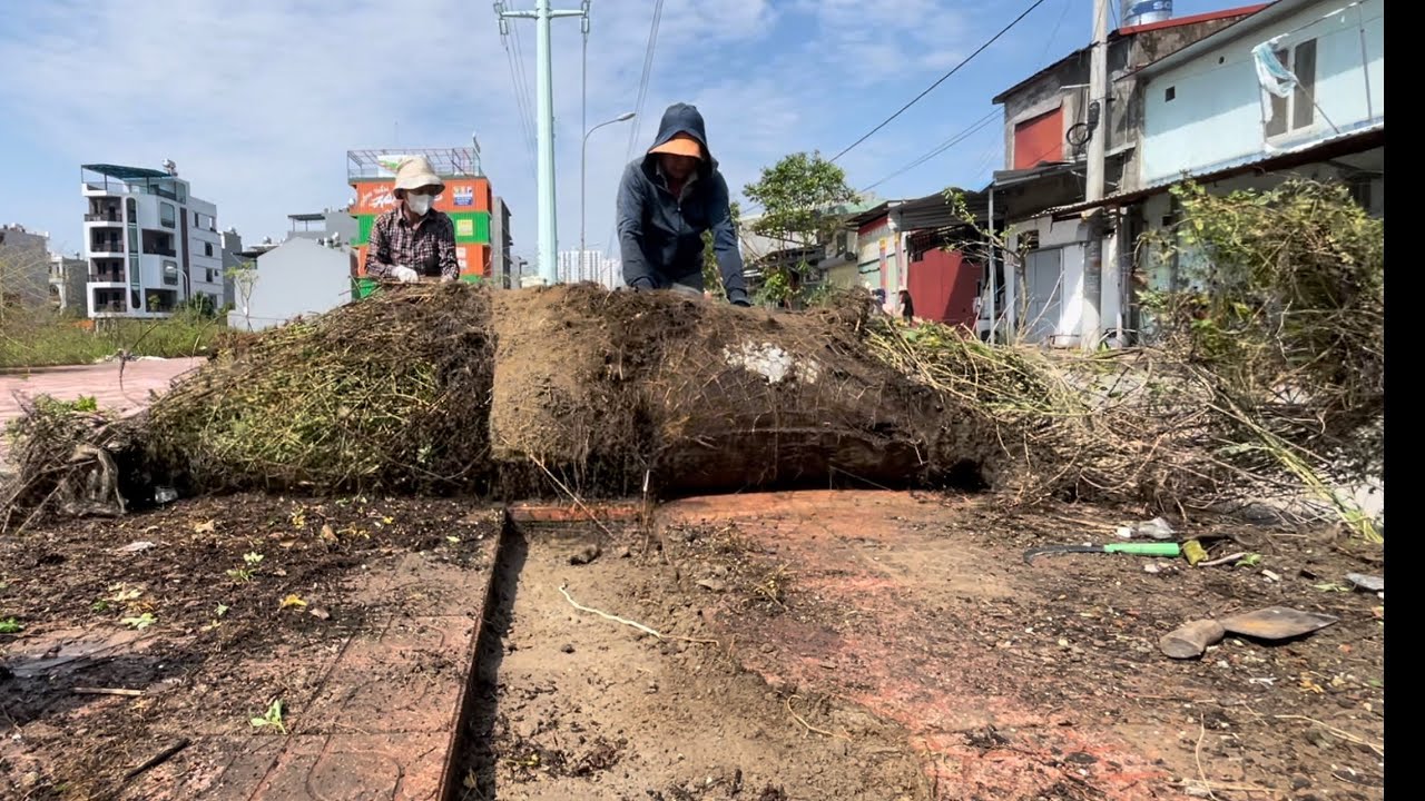 People were so happy when we cleared the weeds and trash from the sidewalks, it was a meaningful job