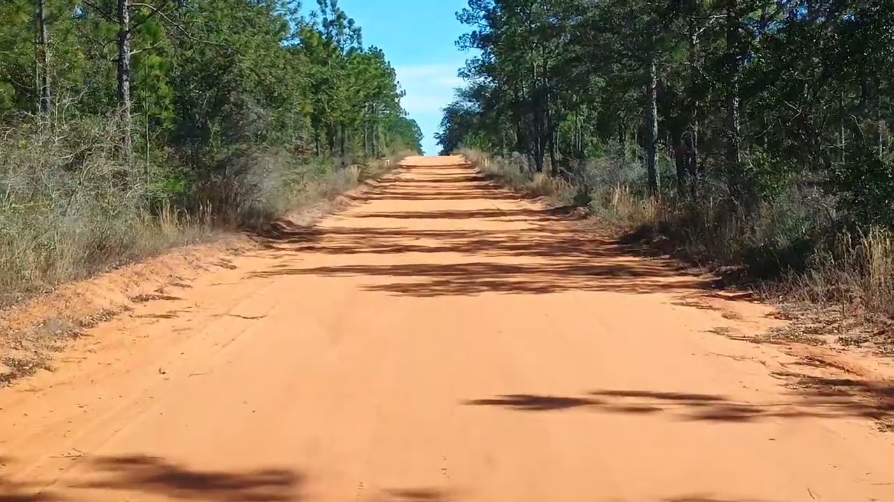 Look At This Beauty -- Escribano Point (EXIT)
