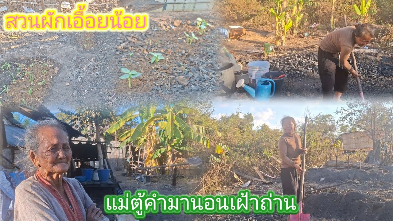 แม่ตู้คำกับน้องตุ่นมานอน เฝ้าถ่านอยู่กระต๊อบ