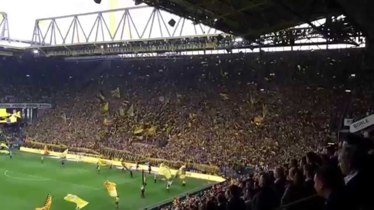 Die besten Fans der Welt sagen 