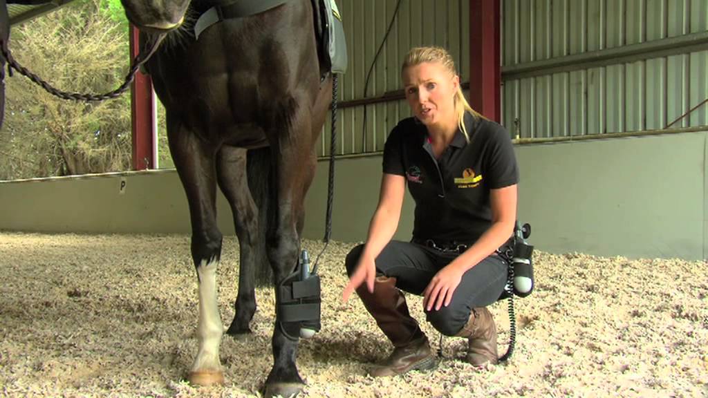 EQUISSAGE AUSTRALIA - TREATING YOUR HORSE