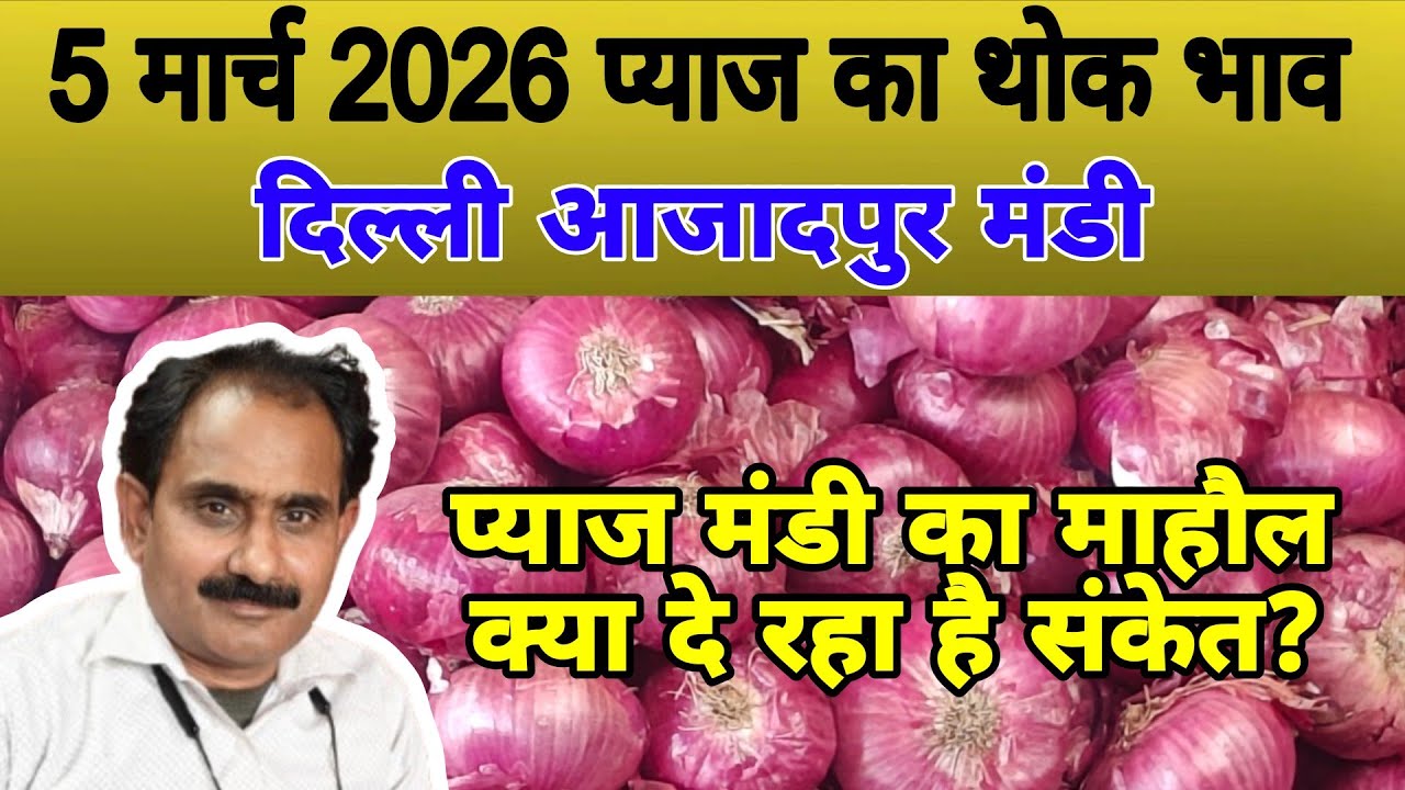 प्याज मंडी का माहौल क्या दे रहा है संकेत | Today onion price | pyaj ka bhav #onionrate #pyaj #onion