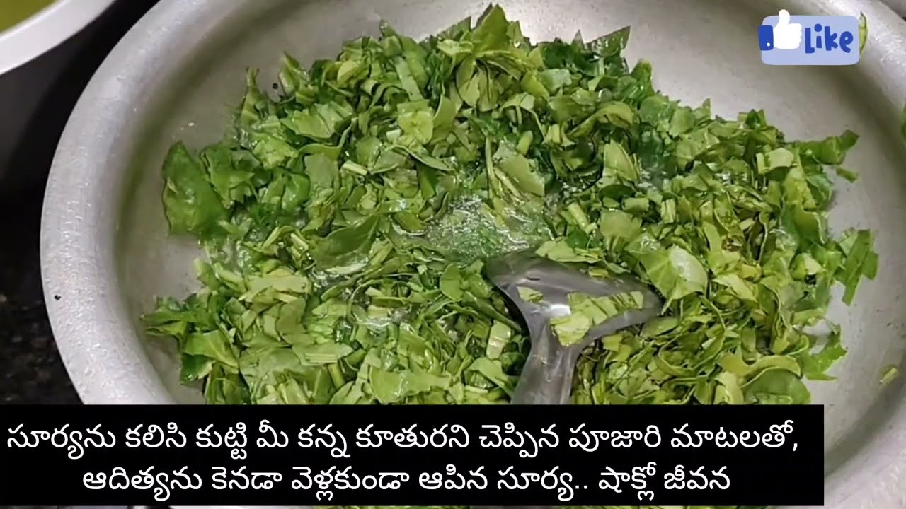 Pape ma Jeevana jyothi serial today episode review/ఆదిత్యను కెనడా వెళ్లకుండా ఆపిన సూర్య, షాక్లో జీవన
